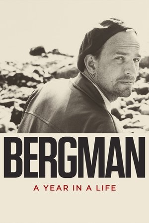 Image Bergman - et år, et liv