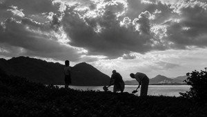 The Naked Island 29