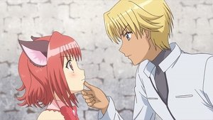 Tokyo Mew Mew New Season 1 Episode 1