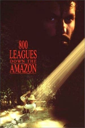 Poster 800 mil z biegiem Amazonki 1993