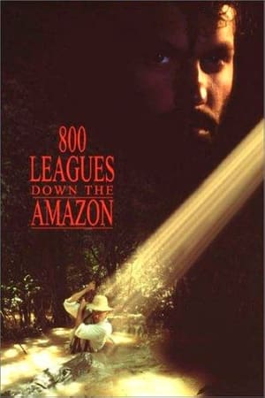 Image Eight Hundred Leagues Down the Amazon