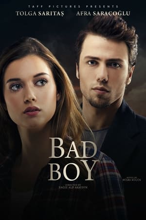 Poster Bad Boy (2017)