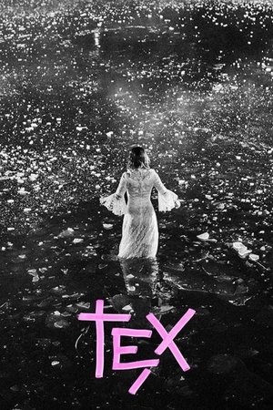 Nonton film Tex (2017) terbaru sub indo Nonton film Tex (2017) terbaru sub indo