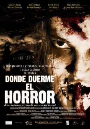 Poster Donde duerme el Horror 2010