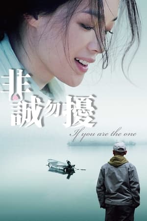 Poster If You Are the One (2008)