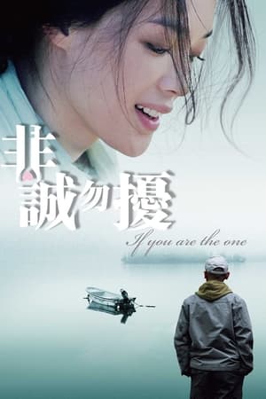 Poster 非诚勿扰 2008