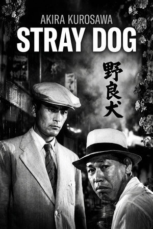 Stray Dog 74