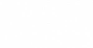 Crimes parfaits — logo