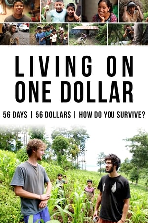 Poster Living on One Dollar 2013