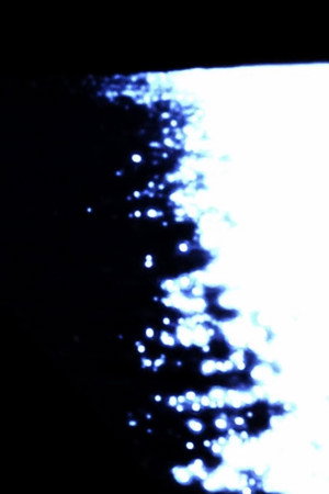 Somnus Aureoles