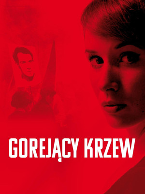 Gorejący krzew