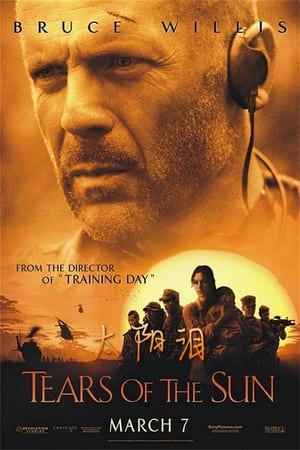 Poster 太阳泪 2003