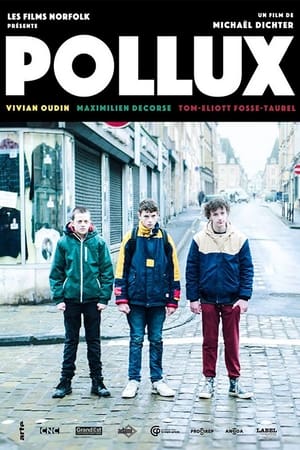 Poster Pollux 2018