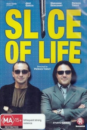 Poster Slice of Life (2002)