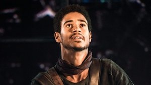 Coriolanus (2014)