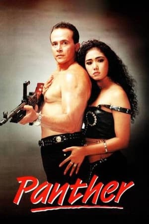 Poster Panther (1995)