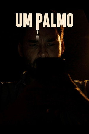 Um Palmo 6