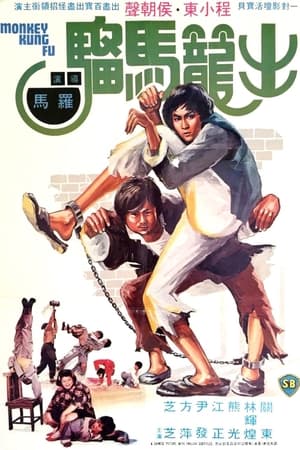 Monkey Kung Fu poster