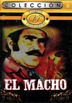 Poster El macho (1987)