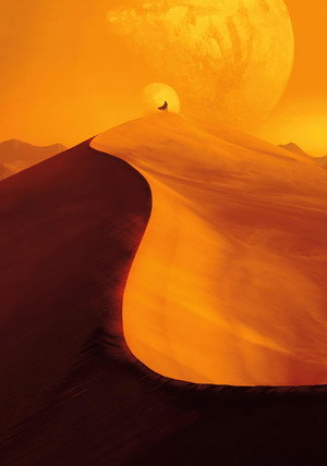 The Dune Saga by Denis Villeneuve