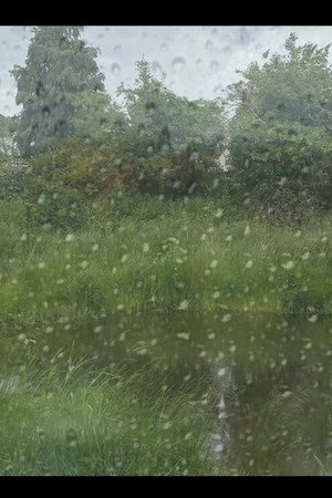 Homemade Nature Reserve