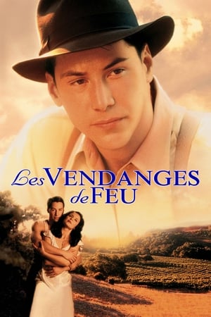 Poster Les vendanges de feu 1995