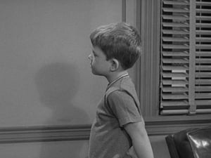 The Andy Griffith Show Season 2 Episode 13