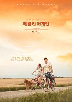 베일리 어게인 (2017)