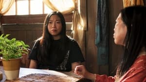 Awkwafina is Nora From Queens The Simple Life