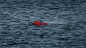 Thumbnail Episode 3: One Good Turn (1)