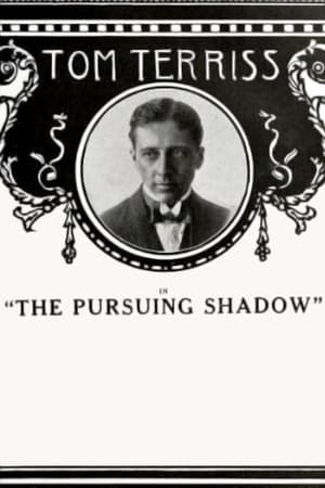 Poster The Pursuing Shadow (1915)