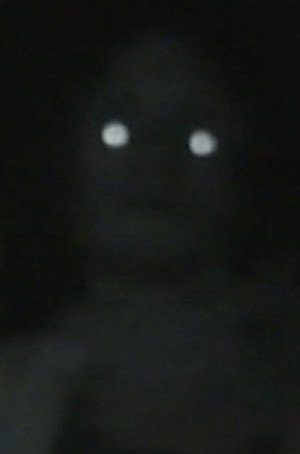 La nuit c'est à nous