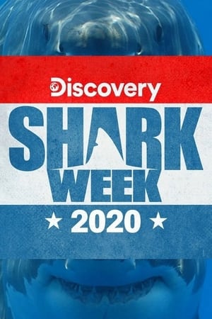 Shark Week: 2020