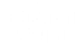 O Ônibus Perdido