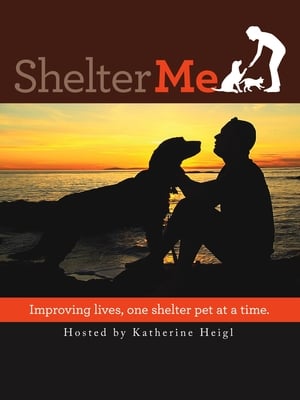 Poster Shelter Me 2012