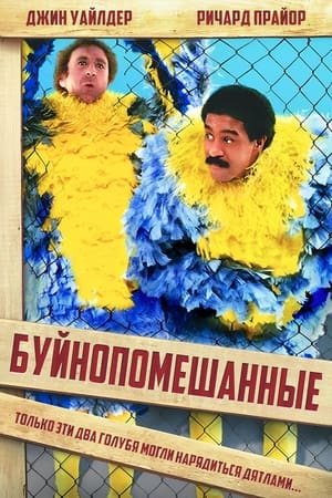 Poster Буйнопомешанные 1980