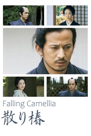 Image Falling Camellia