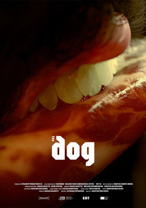 The Dog