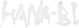 Fireworks — Logos 4