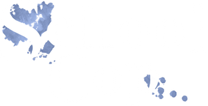 School Cop