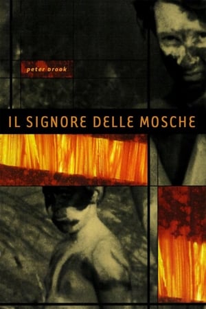 Image Il signore delle mosche