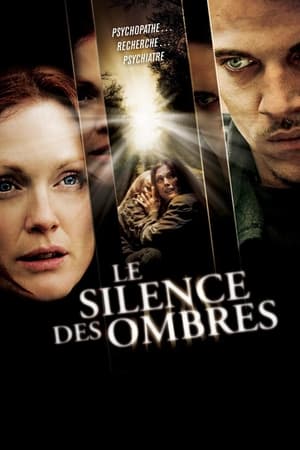 Poster Le Silence des ombres 2010