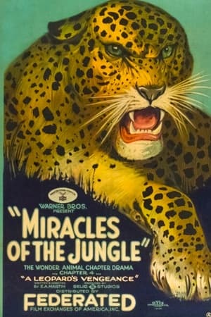 Poster Miracles of the Jungle (1921)