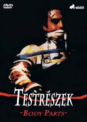 Poster Testrészek 1991