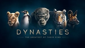 poster Dynasties