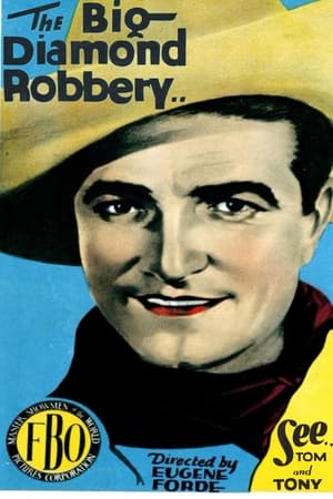 Poster The Big Diamond Robbery 1929