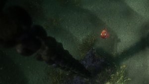 Finding Nemo – KhmerDub (2003)