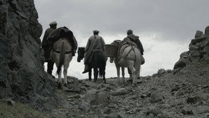 The Mountain Tears 1