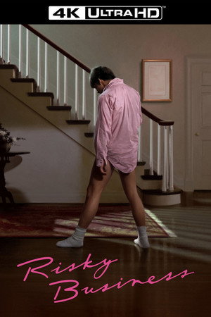 Постер фильма «Рискованный бизнес (1983)» — (22 из 66)