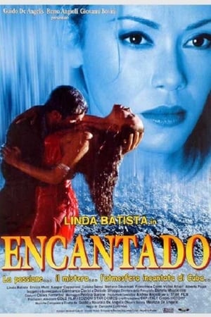 Poster Encantado (2002)